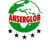 Логотип Anserglob — продукцію в BUDMO