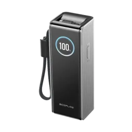 Павербанк EcoFlow RAPID Power Bank с кабелями 25000mAh серебристый