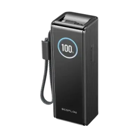 Павербанк EcoFlow RAPID Power Bank с кабелями 25000mAh черный