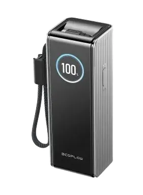 Павербанк EcoFlow RAPID Power Bank с кабелями 25000mAh серебристый — фото, цена 5500,00 грн