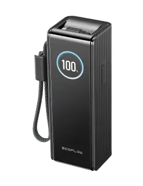 Павербанк EcoFlow RAPID Power Bank з кабелями 25000mAh чорний — фото, ціна 5500,00 грн