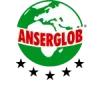 Логотип Anserglob — продукцію в BUDMO