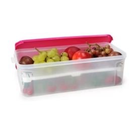 Контейнер пластиковий з кришкою PROFESSIONEL 6л